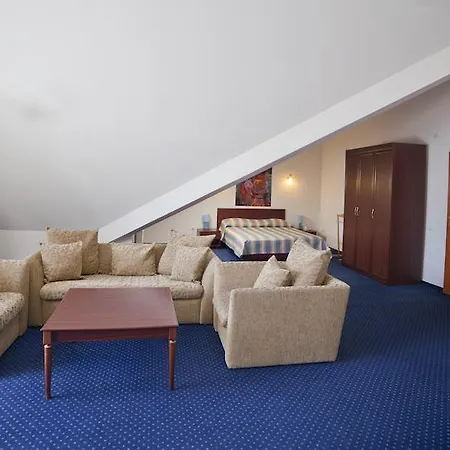 Sani Hotel *